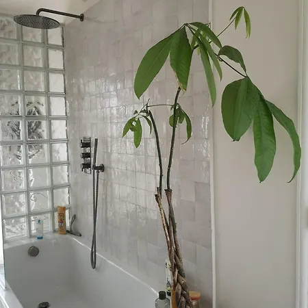 Lumiere & Majeste * Versailles